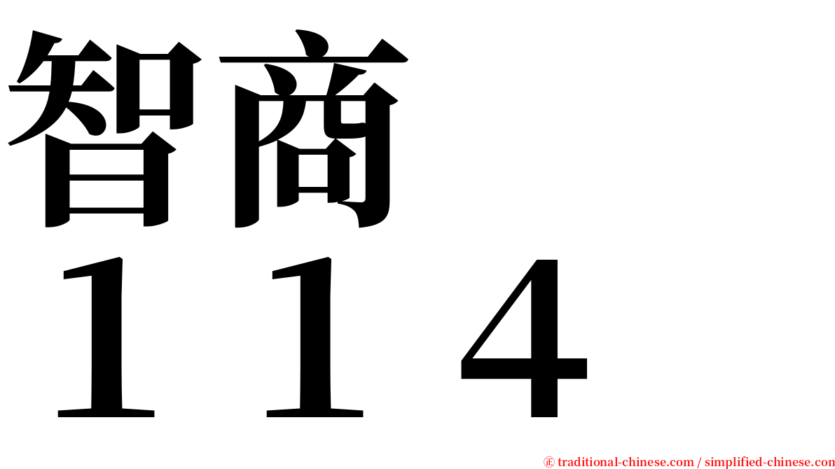 智商　　１１４ serif font